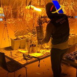 El mayor laboratorio de speed de España se escondía en Navarra: la casa en ruinas que 'valía' 5 millones