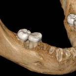 Los primeros homínidos del Tíbet fueron denisovanos