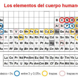 La Tabla periódica de los elementos en un solo alimento