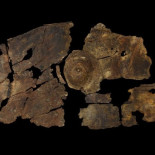 Analizan un escudo único en Europa, hecho con láminas de corteza en la Edad del Hierro