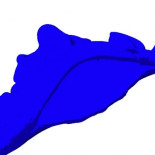 Descubren el secreto del escudo perfecto del camarón mantis (ING)