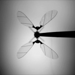 Robobee: La abeja robótica de Harvard ya puede volar sola (ING)