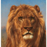 El Museo del Prado expondrá un cuadro de su almacén ante la insistencia de un tuitero