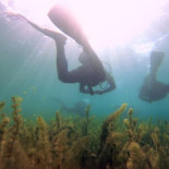 La diversidad natural de las lagunas de Ruidera, desde lo más profundo