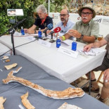 Atapuerca se confirma como único yacimiento del mundo con hasta cuatro especies humanas