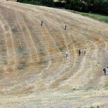 Arqueólogos jienenses buscan en Italia el lugar donde se libró la batalla de Metauro entre Roma y Cartago