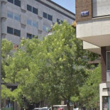 La inmunidad diplomática evita la detención del cónsul de Egipto en Madrid por violencia machista