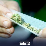 Condenados los dueños de un club de marihuana de Madrid con más de 2.000 socios