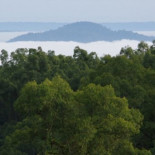 Etiopía planta 353 millones de árboles en 12 horas en un plan contra la deforestación