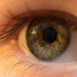 Crean lentes de contacto que permiten cambiar la distancia focal de los objetivos como si fuera una cámara. [EN]