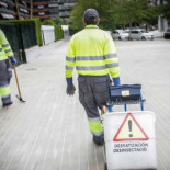 El arma definitiva contra las cucarachas en las ciudades