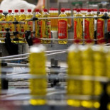 Piden a la CE investigar por qué si hay un mercado común del aceite en Italia se paga el doble que en España