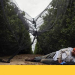 Miseria, acoso policial y pesticidas, así malvive en California la mano de obra de la gran despensa americana