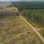 Cuando morir por la naturaleza adquiere un significado literal