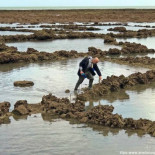 Los corrales de pesca de Chipiona, una curiosa forma de pesca tradicional