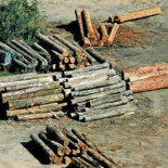 Alerta medioambiental en Brasil: Bolsonaro arrasa el Amazonas