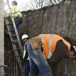 292 trabajadores murieron en accidentes de trabajo en el primer semestre del año