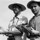 Así fue cómo dos científicos engañaron a Franco para proteger Doñana