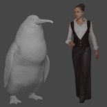 Fósiles de un pingüino del tamaño humano, descubiertos en Nueva Zelanda