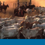 Noruega se suma a Alemania y suspende la ayuda millonaria a Brasil para frenar la deforestación