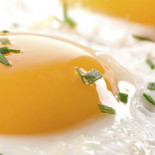 Huevos y salud, resumen de todos los metaanálisis