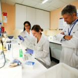 Descubren que un fármaco oncológico elimina las células que reactivan el VIH