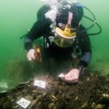 Descubierto un astillero de la Edad de Piedra bajo el agua (ENG)