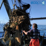 Faenando en un mar lleno de basuras