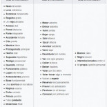 De la salsa salsa al Val d'Aran o Valle del Valle. Pleonasmos y tautopónimos