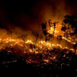 Open Democracy accede a documentos de Bolsonaro en los que planea acabar con el Amazonas
