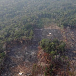 Finlandia propone a la UE prohibir las importaciones de carne de Brasil por los incendios del Amazonas