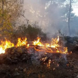 Detenido un hombre preparado para incendiar un monte de Mallorca por cuarta vez