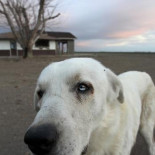 Hace miles de años tuvo lugar un extraño suceso...