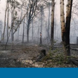 Los enormes incendios forestales en el Ártico lanzan una alerta planetaria