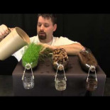 Erosión y suelos (eng)