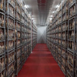 Trampas del jamón: Comapa produce sus jamones de la marca Trevedul a 75 kilómetros de Trevélez