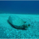 Reciclaje de plásticos en España: Ecoembes vs. Greenpeace