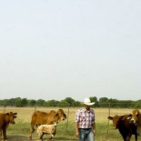 Ganaderos de EE.UU.: "2018 fue crítico, cerró una de cada siete granjas"
