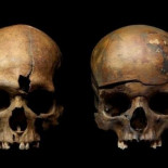 Arqueólogos desentierran fosas comunes de la invasión mongola de Rusia (ENG)