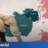 Brexit: La frontera irlandesa, el elefante del Brexit que nadie sabe resolver