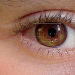 Desarrollan una lente capaz de imitar el cristalino y corregir la presbicia