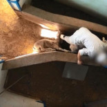 Denuncian con un estremecedor vídeo el maltrato animal y la insalubridad en un matadero de Madrid