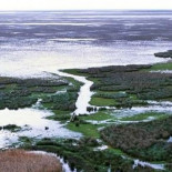 Acaben de una maldita vez con Doñana