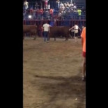 Un toro embiste a un niño tras caer de la grada en Tavernes de la Valldigna