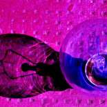 La corriente que pide el código fuente de los programas que deciden las ayudas al ciudadano: que el algoritmo no discrim