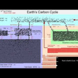 Diagrama animado del ciclo de carbono de la Tierra y como ha cambiado desde la era pre-industrial hasta la actualidad