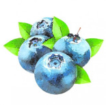 La fascinante batalla entre un arándano y un hongo