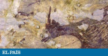 Descubierta la obra de arte más antigua de la humanidad