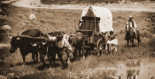 Cuando los bueyes fueron los héroes