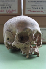 Tras las pista de los muertos del Gran Ejército Vikingo